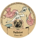 Salsior